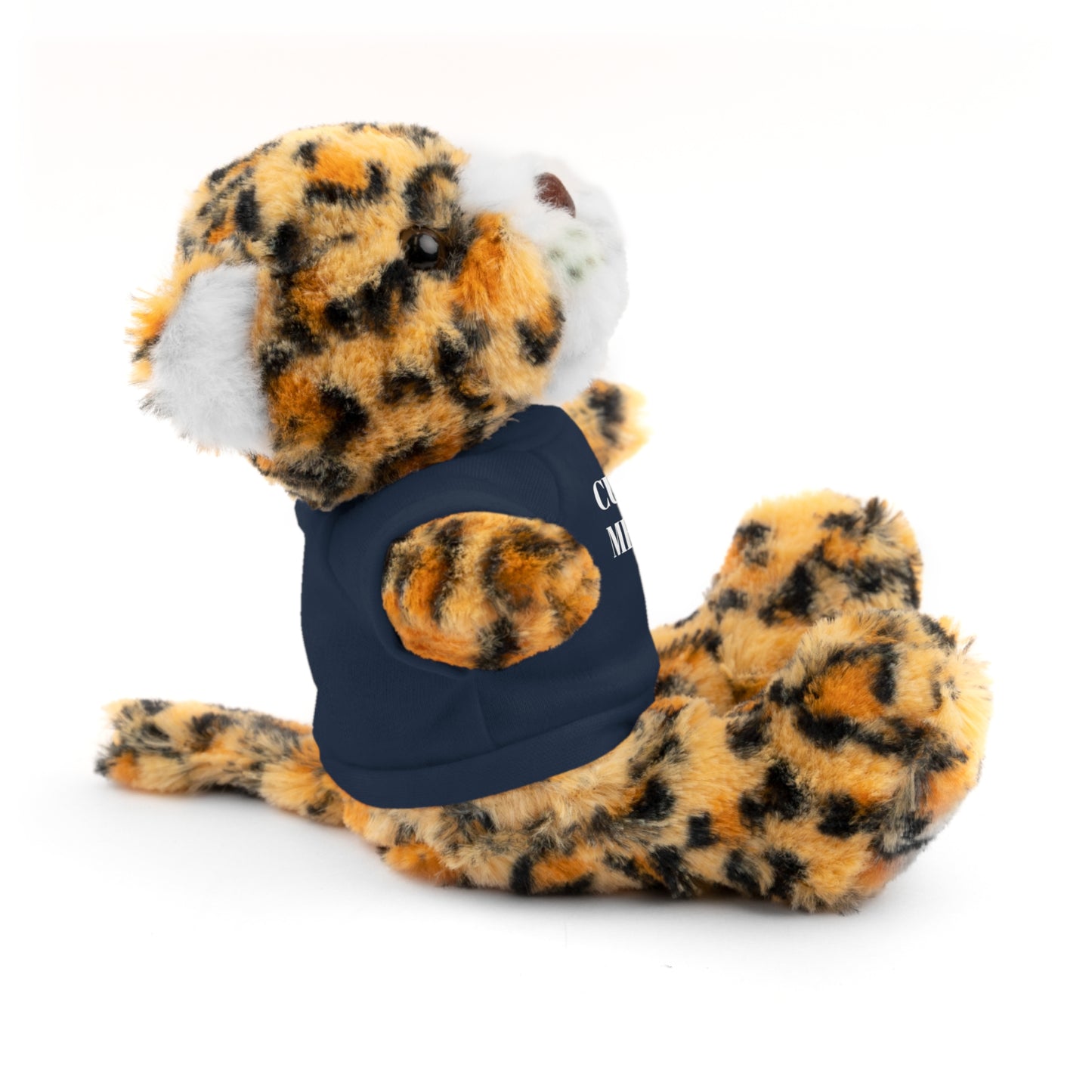 The McMillionaires Collection: Personalized Bears