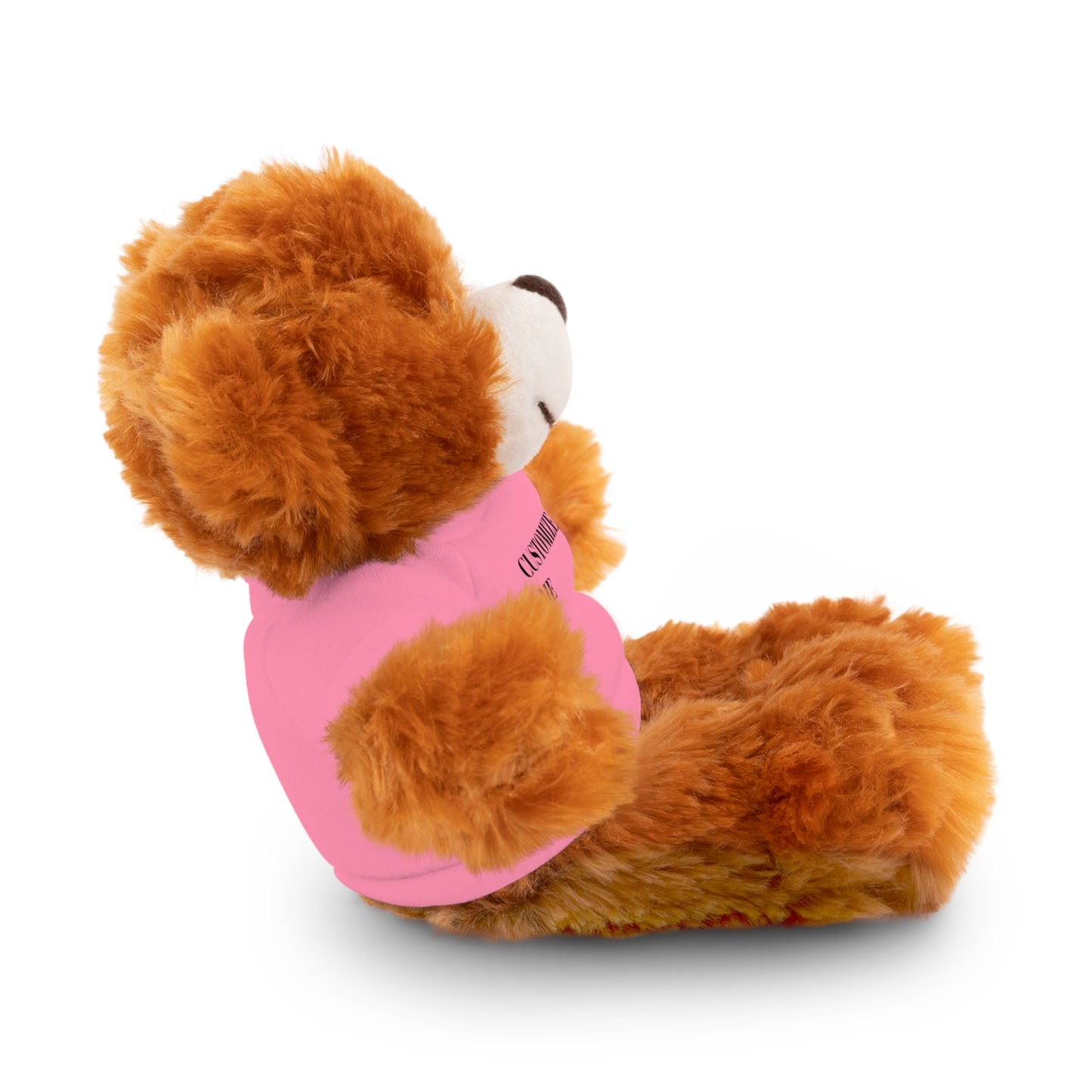 The McMillionaires Collection: Personalized Bears