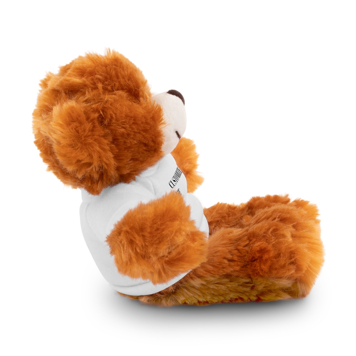 The McMillionaires Collection: Personalized Bears