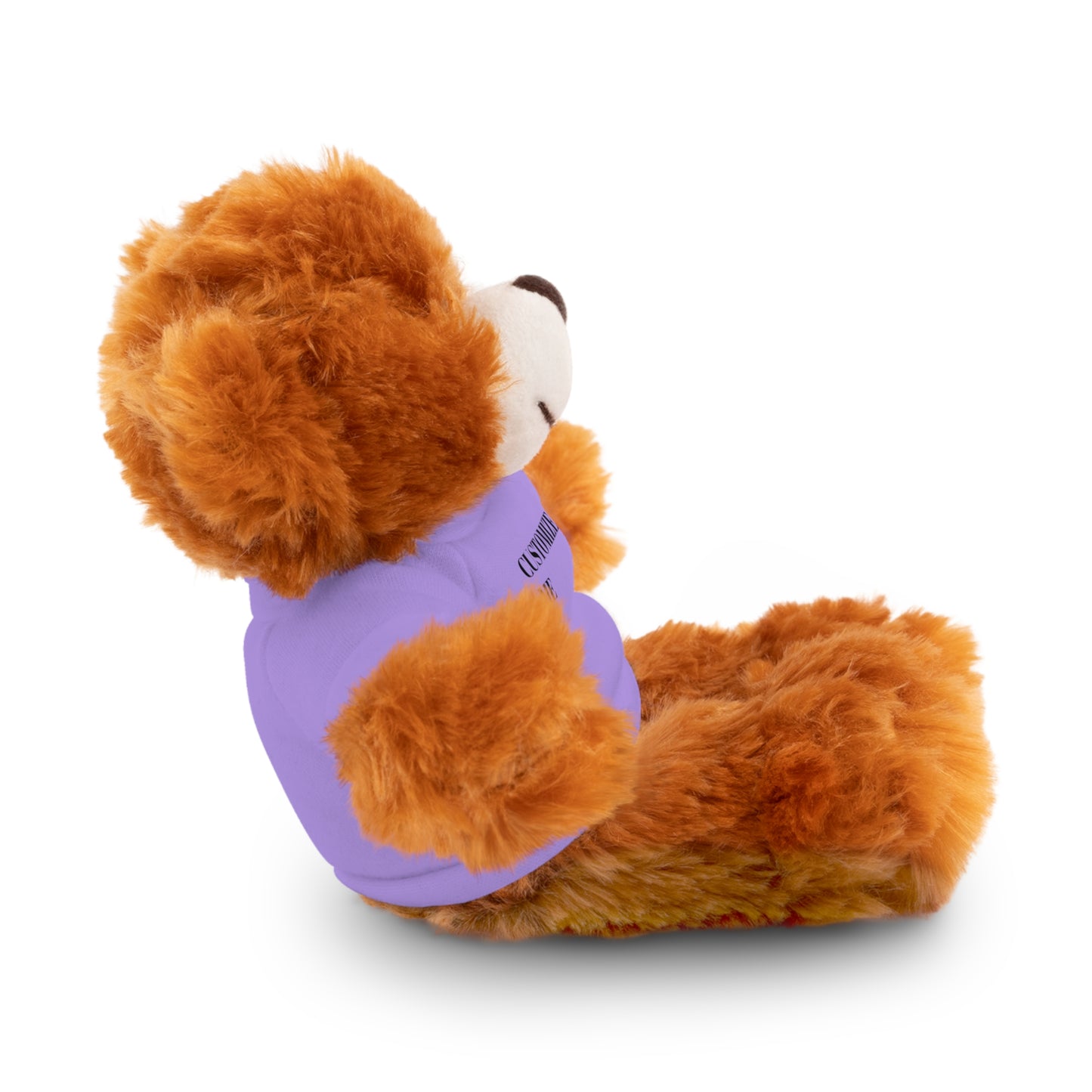 The McMillionaires Collection: Personalized Bears