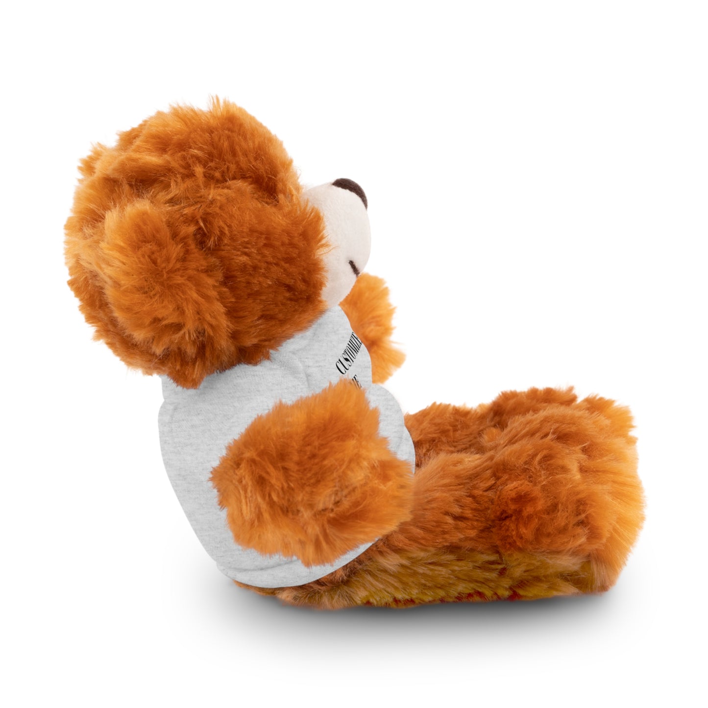 The McMillionaires Collection: Personalized Bears