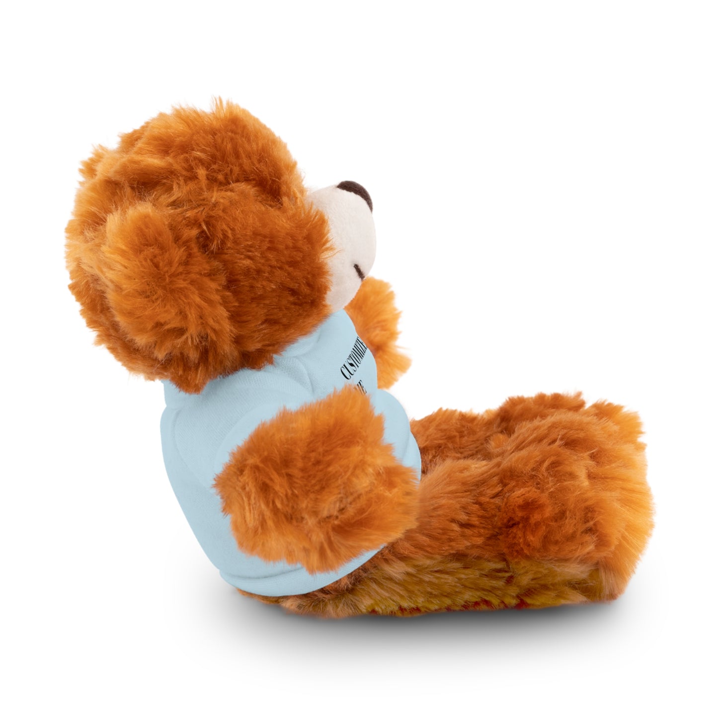 The McMillionaires Collection: Personalized Bears